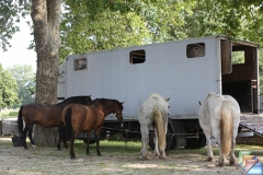 Equinoctis la Negresse a Cheval * (79 Diapositives)